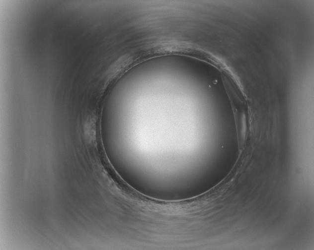 X0000062620010200512281541