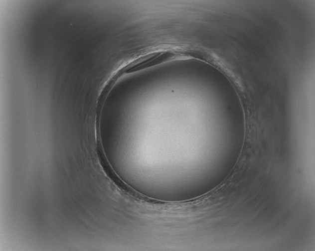 X0000062620011200512281541