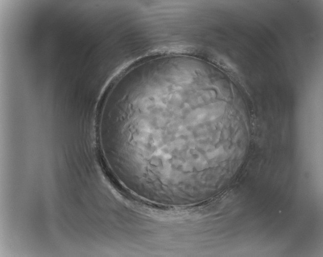 X0000062620012200512281541