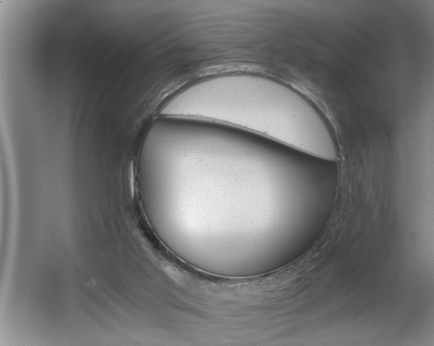 X0000062620013200512281541