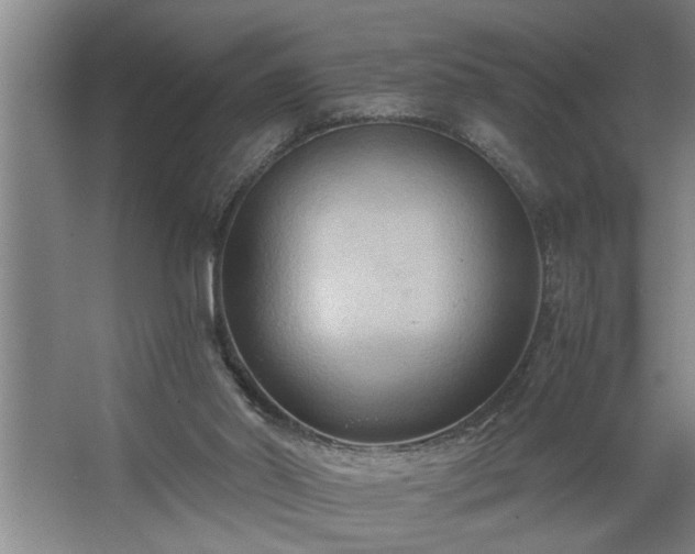 X0000062620014200512281541