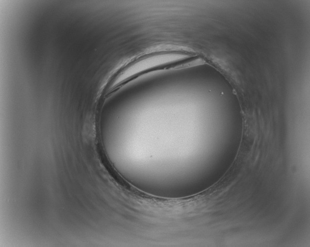 X0000062620015200512281541