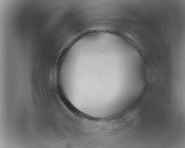 X0000062620016200512281541