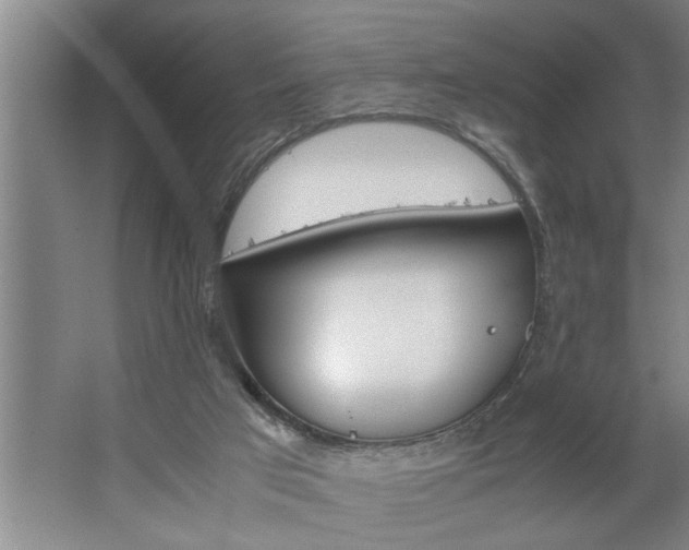 X0000062620017200512281541