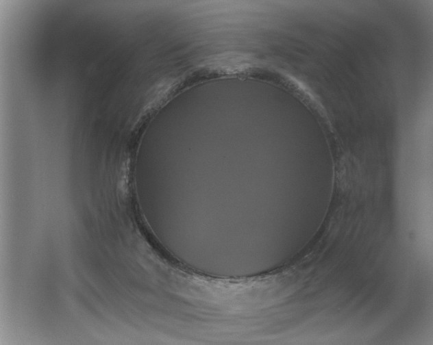 X0000062620018200512281541