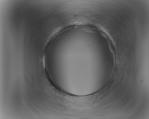 X0000062620019200512281541