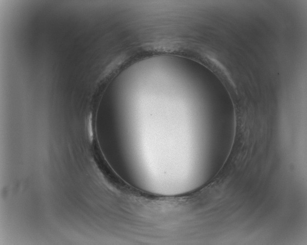 X0000062620020200512281541