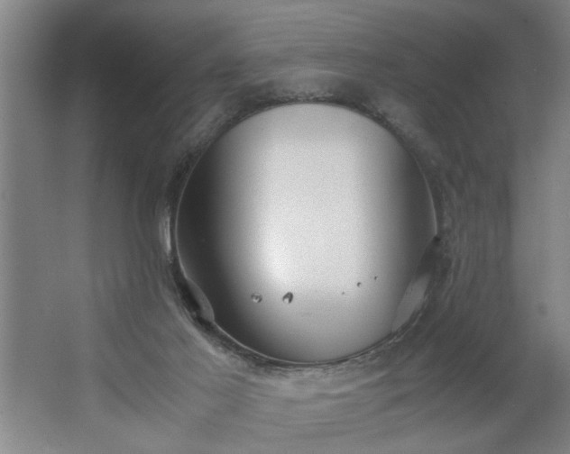 X0000062620021200512281541