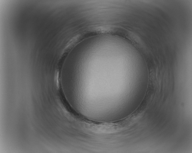 X0000062620024200512281541