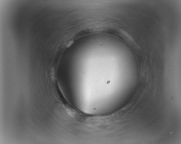 X0000062620025200512281541