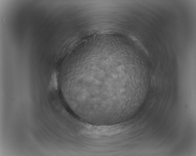 X0000062620026200512281541