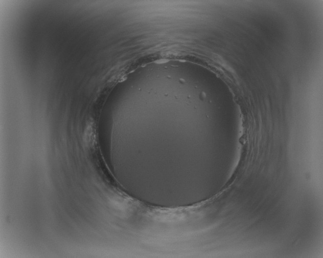 X0000062620029200512281541