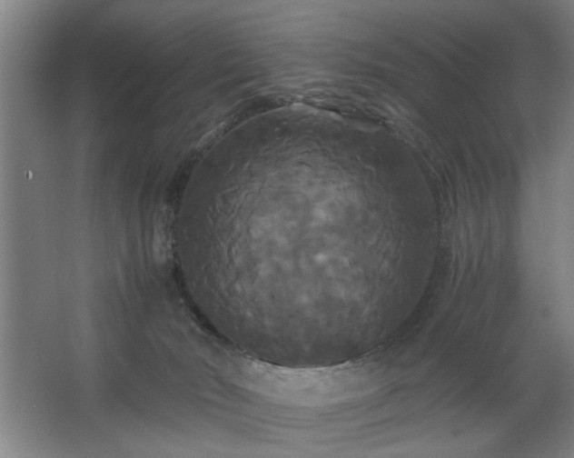 X0000062620030200512281541