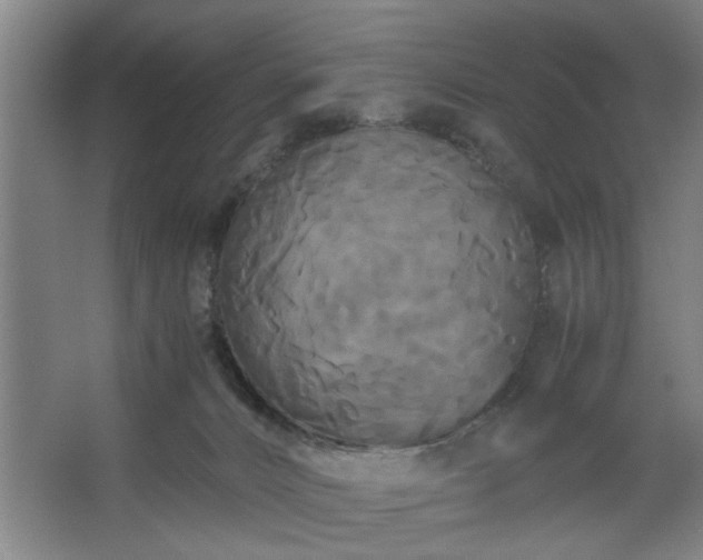 X0000062620032200512281541