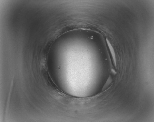 X0000062620033200512281541