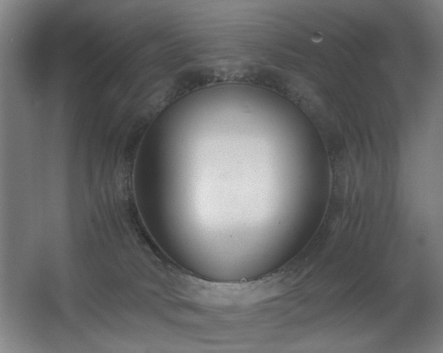 X0000062620034200512281541