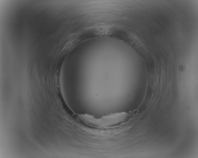 X0000062620035200512281541