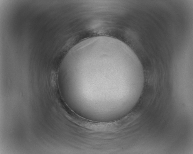 X0000062620036200512281541