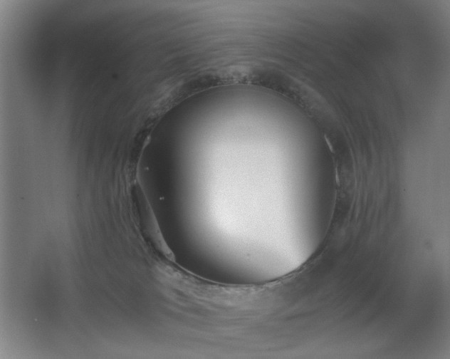 X0000062620037200512281541