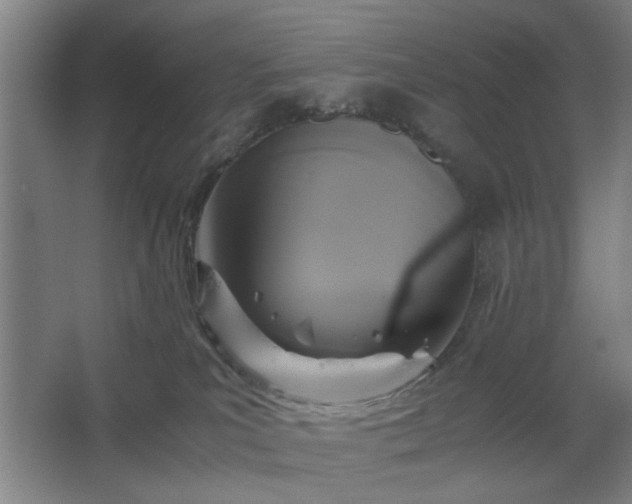 X0000062620039200512281541