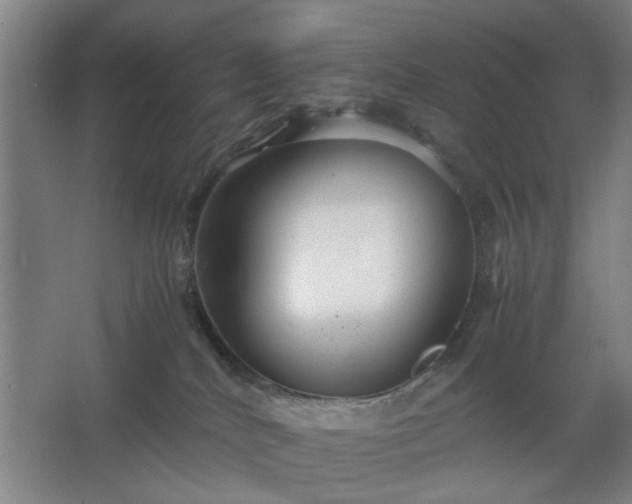 X0000062620040200512281541