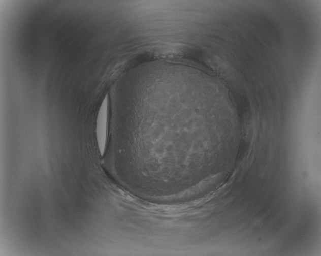 X0000062620041200512281541