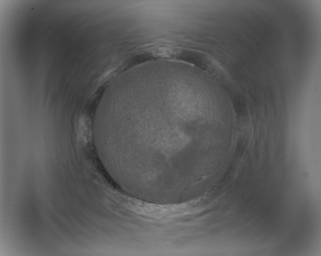 X0000062620043200512281541