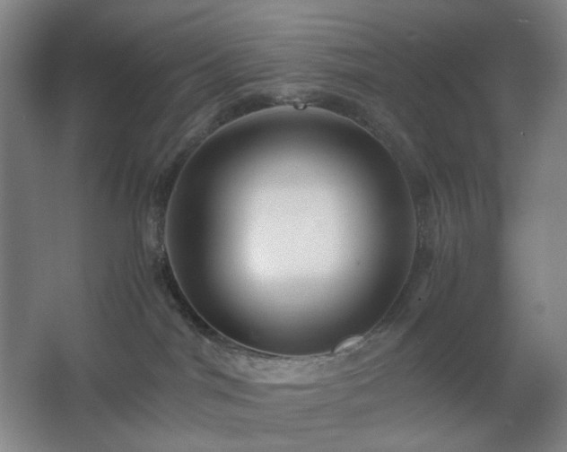 X0000062620044200512281541