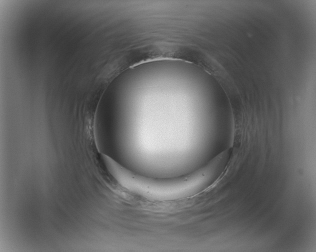 X0000062620045200512281541