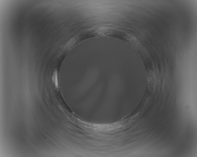 X0000062620046200512281541