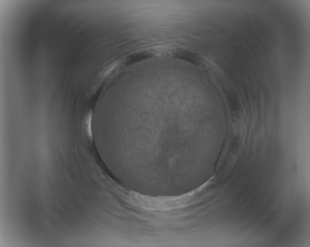 X0000062620047200512281541