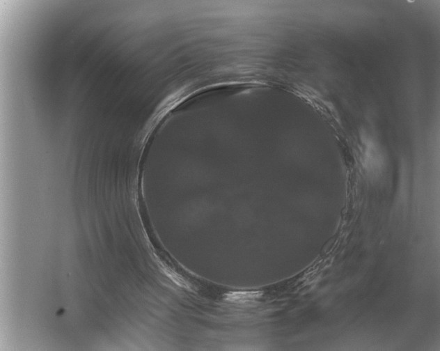 X0000062620051200512281540