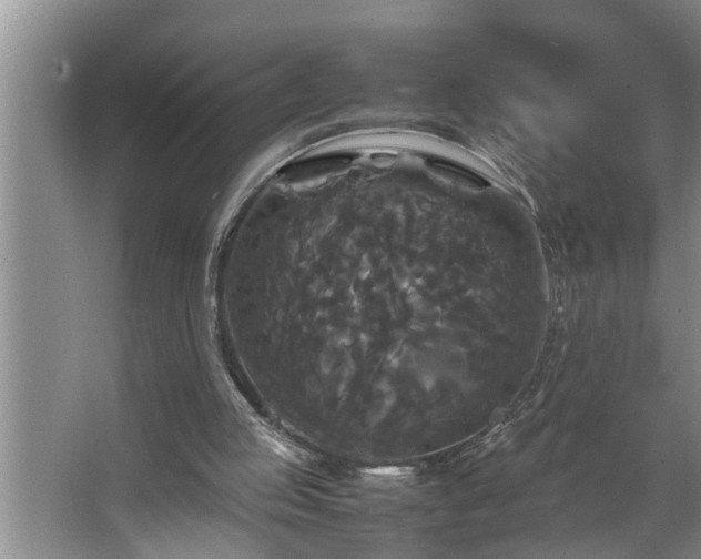 X0000062620053200512281540