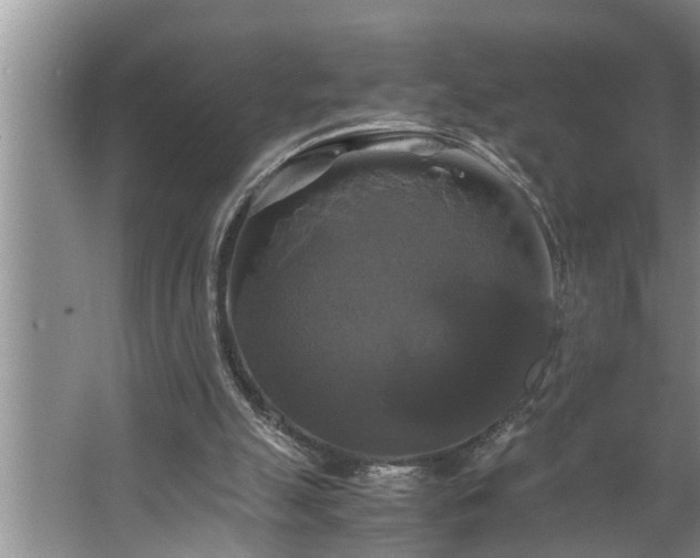 X0000062620055200512281540