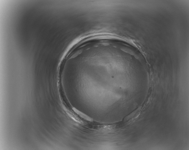 X0000062620056200512281540