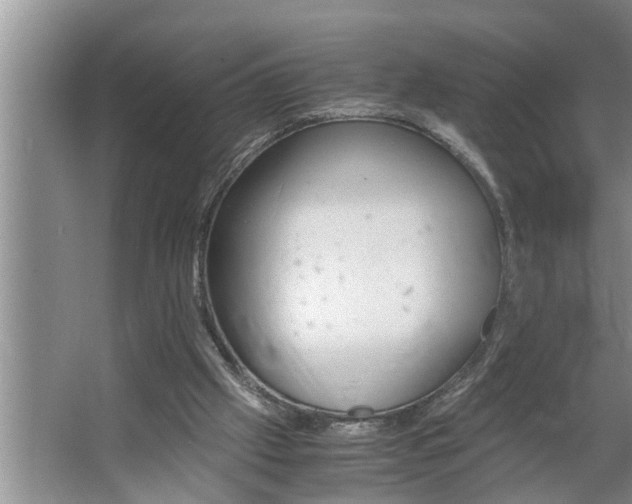 X0000062620057200512281540