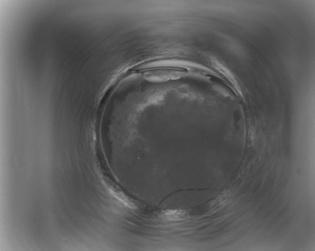 X0000062620059200512281540