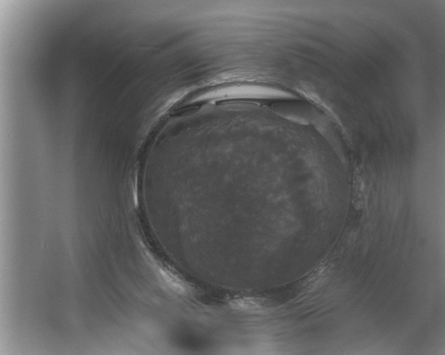 X0000062620062200512281540