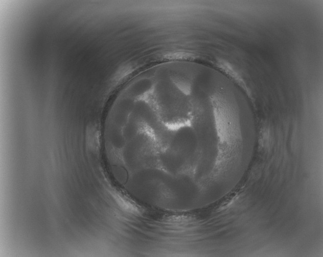 X0000062620063200512281540