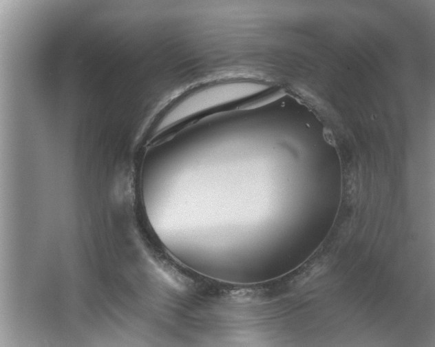 X0000062620064200512281540