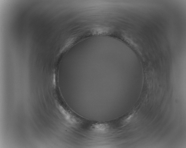 X0000062620067200512281540