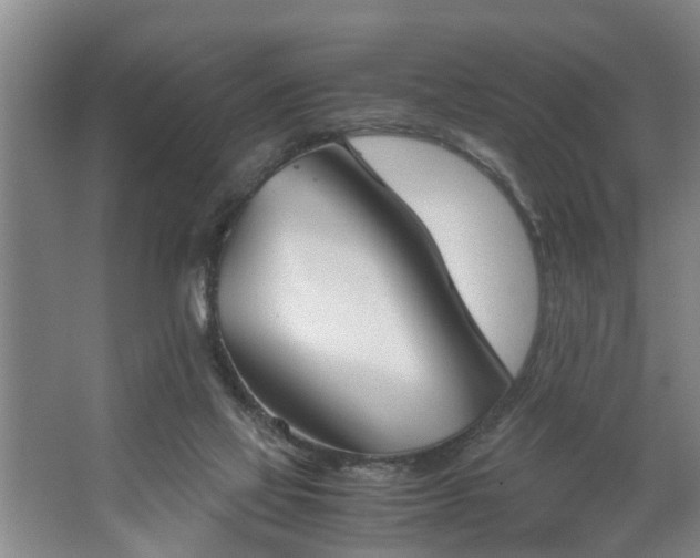 X0000062620069200512281540