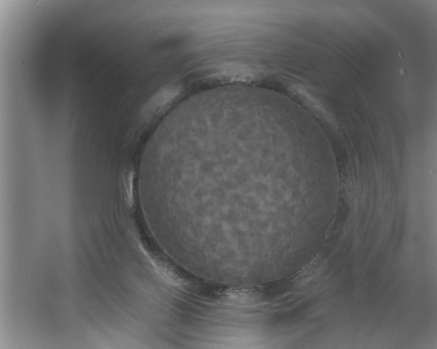 X0000062620070200512281540