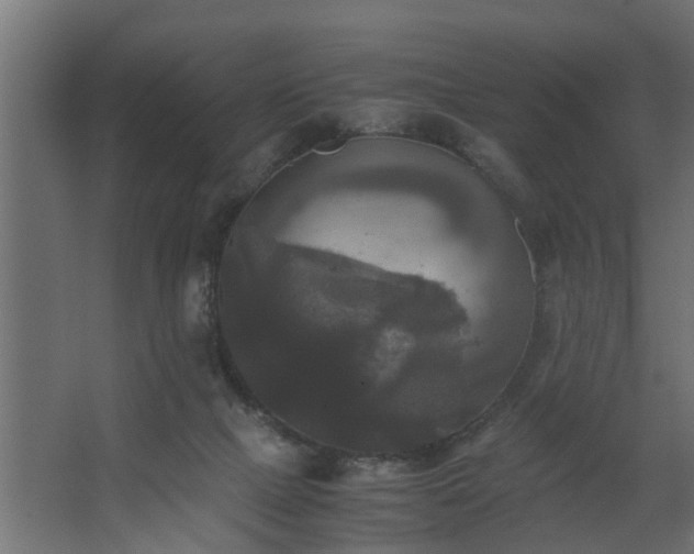 X0000062620073200512281540