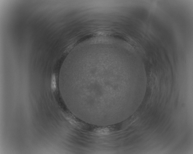 X0000062620075200512281540