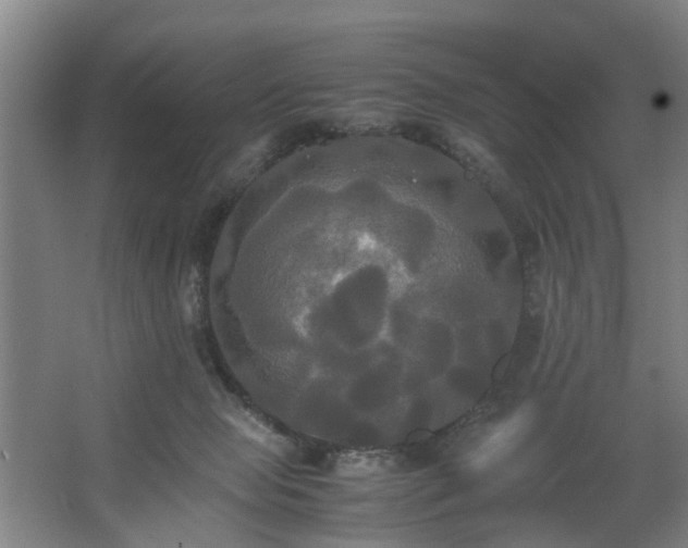 X0000062620077200512281540