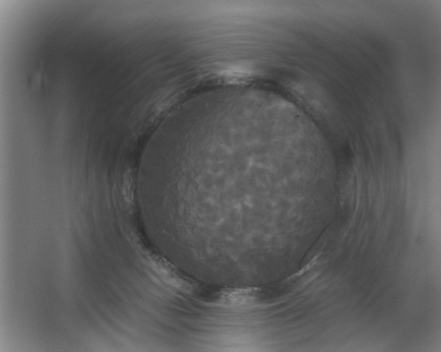 X0000062620078200512281540