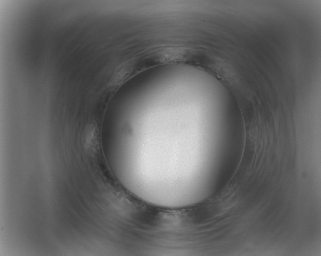 X0000062620079200512281540