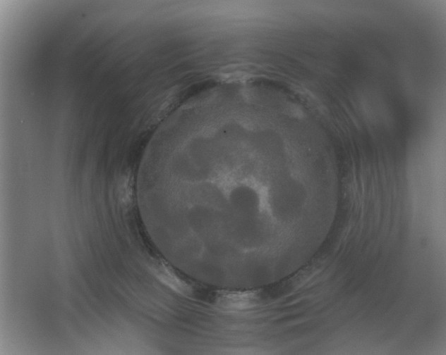 X0000062620081200512281540