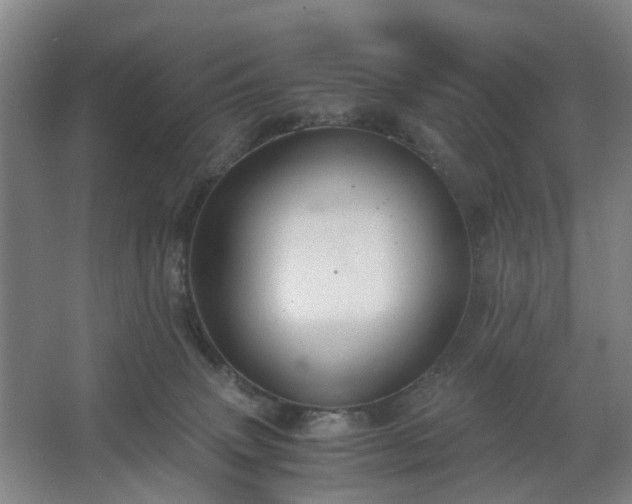 X0000062620083200512281540